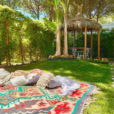 Beach Garden Paradise Dıraç Dış mekan fotoğraf