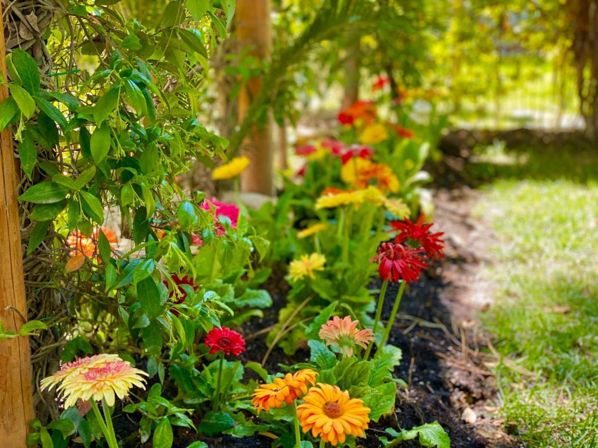Beach Garden Paradise Dıraç Dış mekan fotoğraf