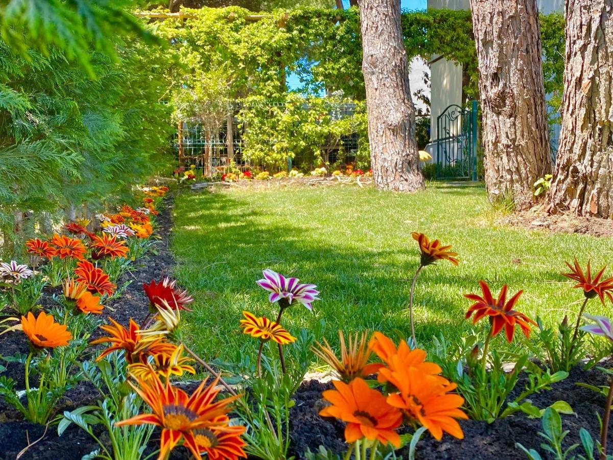 Beach Garden Paradise Dıraç Dış mekan fotoğraf